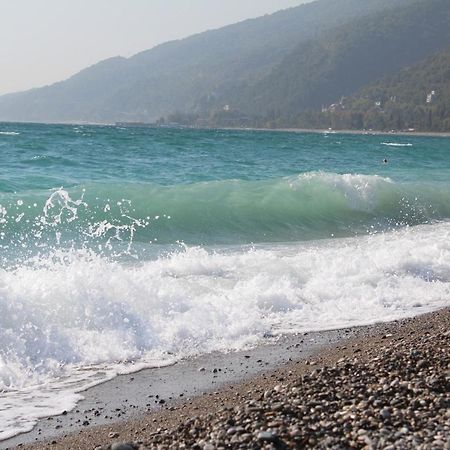 Mamzyshkha Guest House Gagra Bagian luar foto